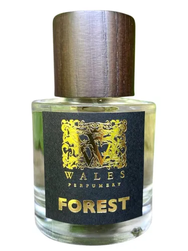 Imagen de Forest