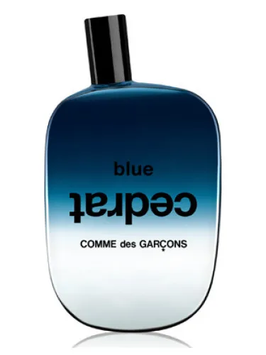 Imagen de Blue Cedrat