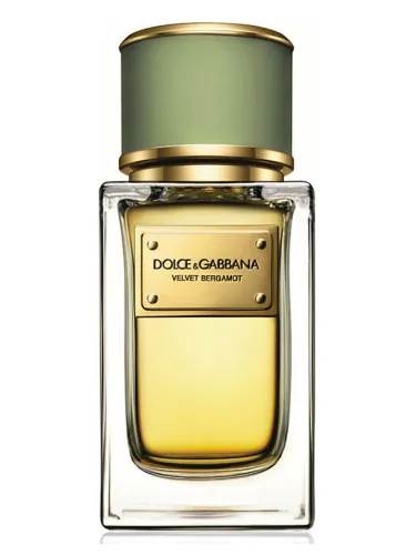 Perfume Velvet Bergamot de Dolce&Gabbana
