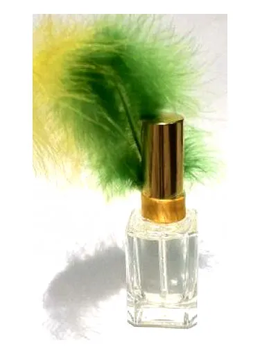 Perfume La Vida Loca WM Edition Brasil de Schlossparfumerie