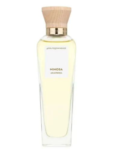 Imagen de Agua Fresca de Mimosa Coriandro