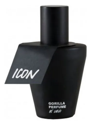Imagen de Icon