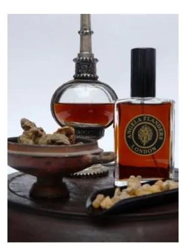 Perfume Amber Noir de Angela Flanders
