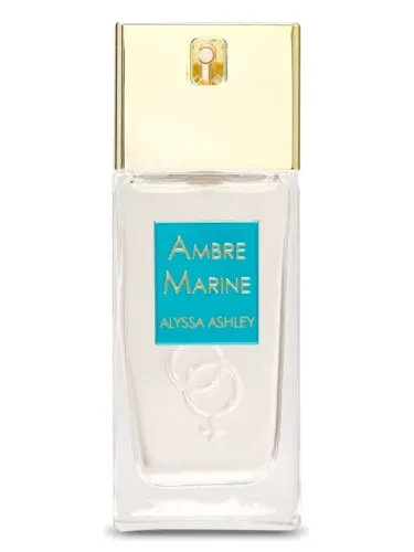 Imagen de Ambre Marine