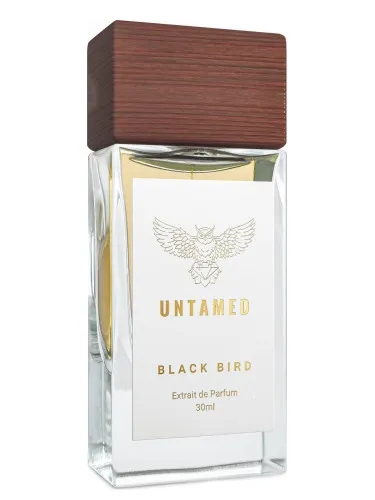Imagen de Black Bird
