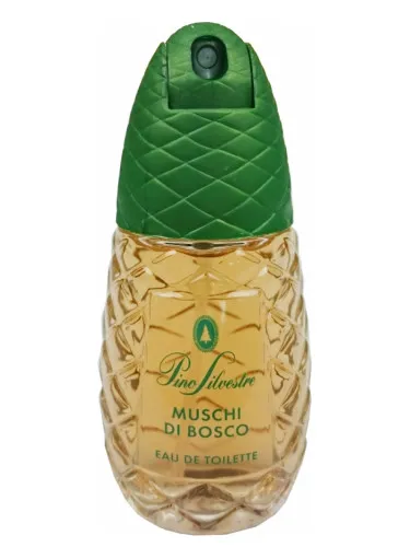 Perfume Pino Silvestre Muschi Di Bosco de Pino Silvestre