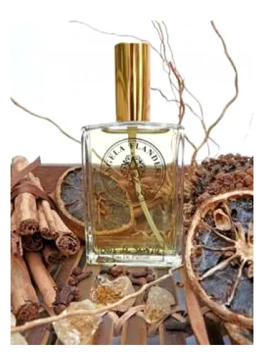 Perfume Bois de Seville de Angela Flanders