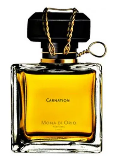Imagen de Carnation