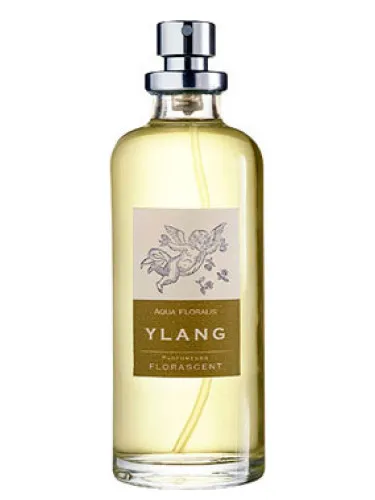 Imagen de Ylang