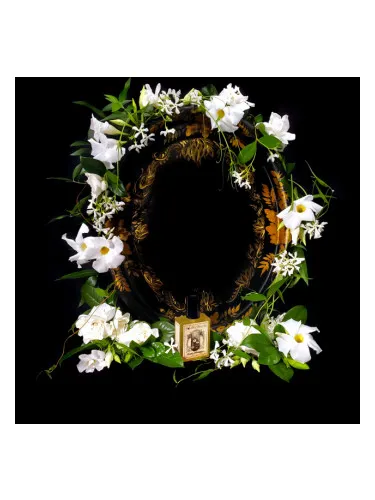 Perfume Flowers Nocturnal de Solstice Scents