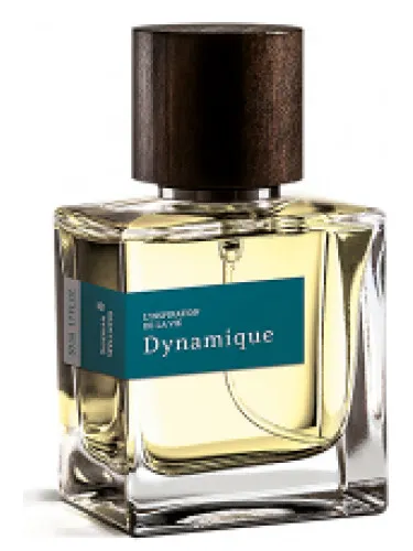 Imagen de Dynamique