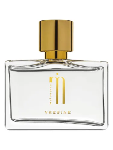 Imagen de Yresine
