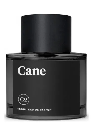 Perfume Cane de Commodity