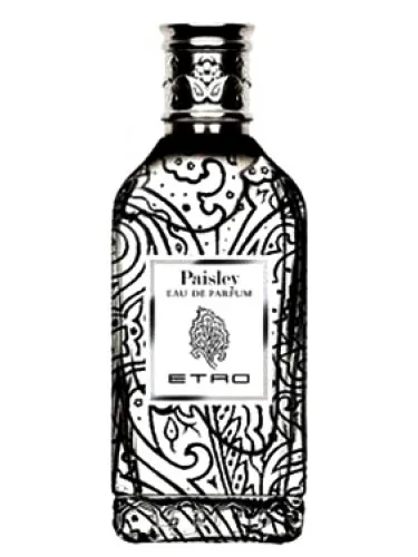 Imagen de Paisley