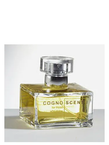 Imagen de No 17 Civet Chypre