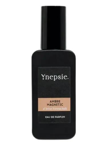 Imagen de Ambre Magnetic