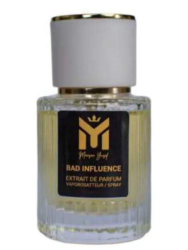 Imagen de Bad Influence