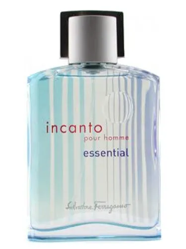 Imagen de Incanto Essential Pour Homme