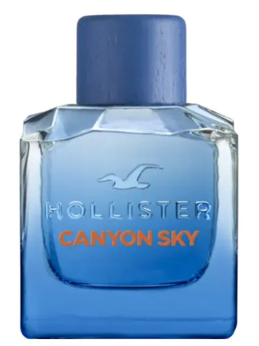 Perfume Canyon Sky For Him de Hollister
