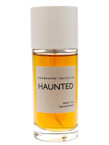 Imagen de Haunted