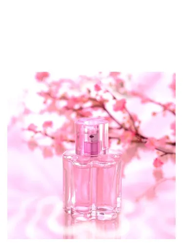 Perfume Secret Flowers Rose de Yves de Sistelle