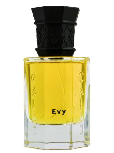 Imagen de EVY