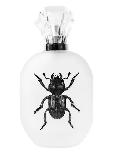Perfume Alessandro Manfredini de Captain Fawcett's