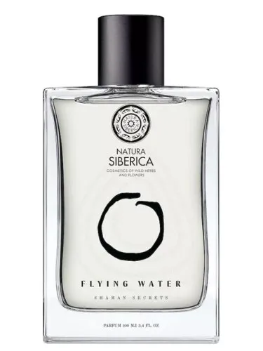 Imagen de Flying Water