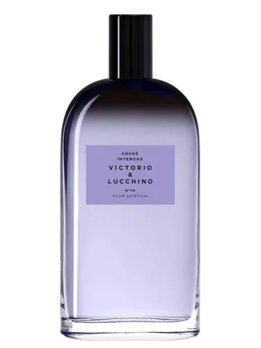 Perfume N° 16 Flor Exótica de Victorio & Lucchino