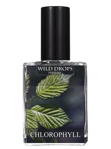 Imagen de Chlorophyll