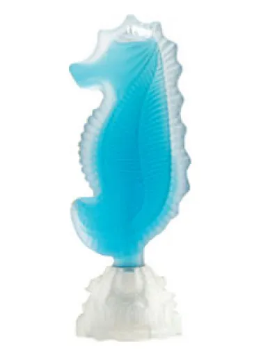 Imagen de Seahorse