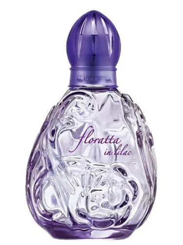 Imagen de Floratta in Lilac