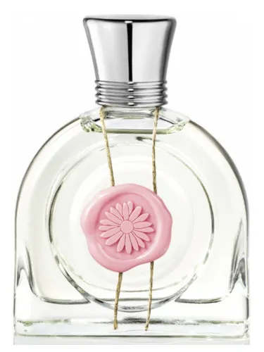Imagen de Fleur Aurore
