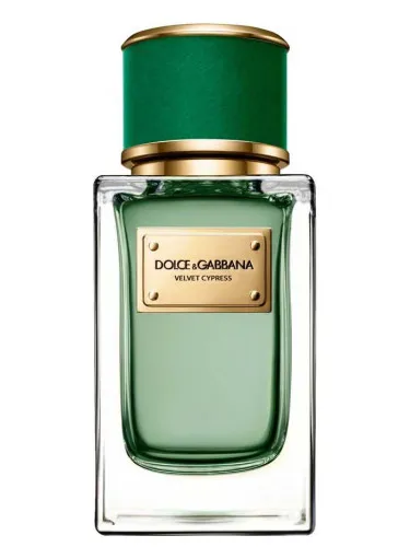 Perfume Velvet Cypress de Dolce&Gabbana
