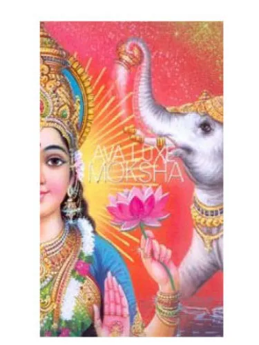 Perfume Moksha de Ava Luxe