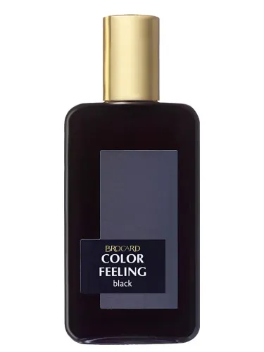 Imagen de Color Feeling Black