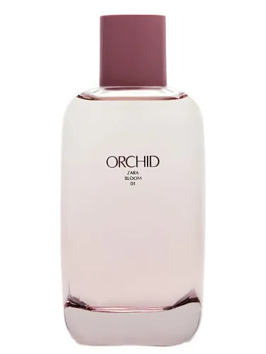 Imagen de Orchid Bloom 01