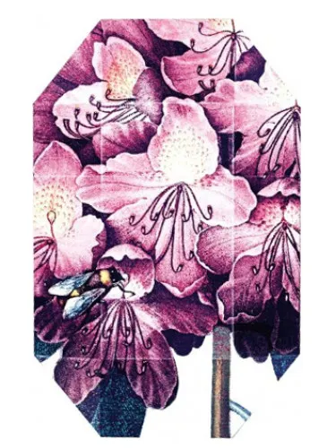 Imagen de Print Collection Stella 01 (2011)