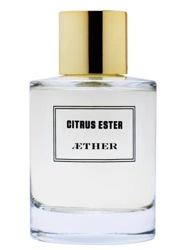 Imagen de Citrus Ester