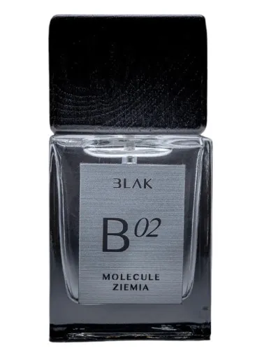 Imagen de Molecule Ziemia B 02