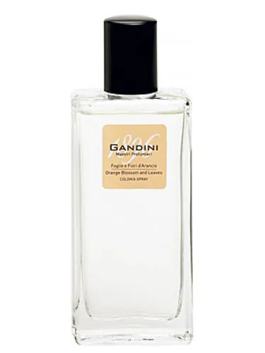 Perfume Orange Blossom and Leaf de Gandini 1896