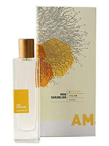 Perfume A Rather Novel Collection 1856 Darjeeling by Adriana Medina de Anthropologie