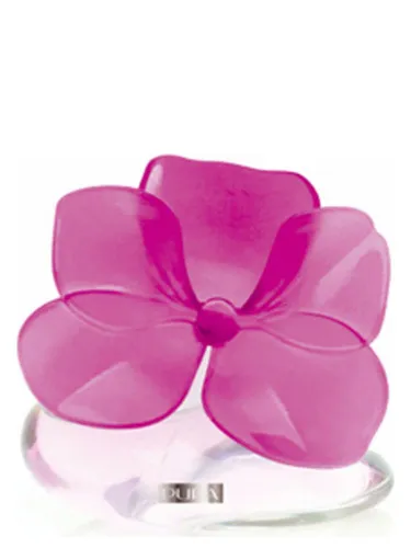 Perfume Very Flower Orchidea de Pupa
