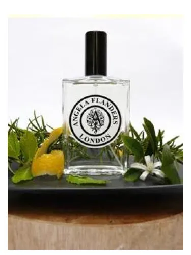 Perfume No.3 Hungary Water de Angela Flanders