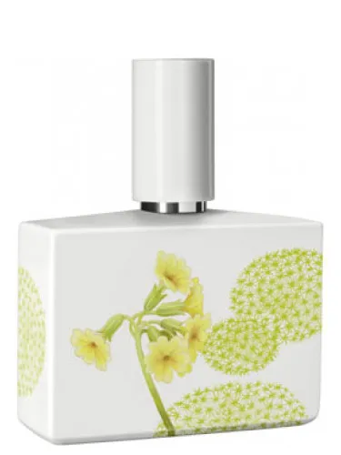 Perfume Bosque Limited Porcelain Edition de Humiecki & Graef