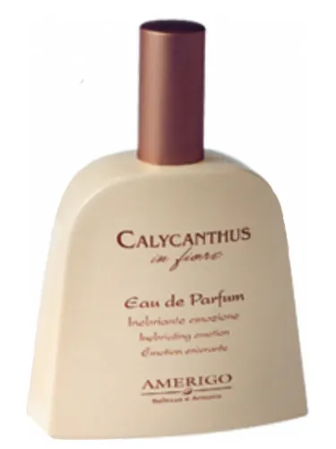 Imagen de Calycanthus In Fiore