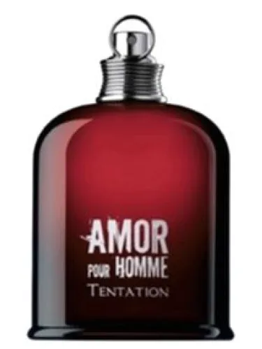 Imagen de Amor Pour Homme Tentation
