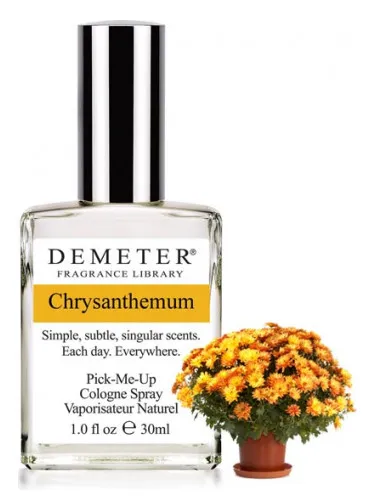Imagen de Chrysanthemum
