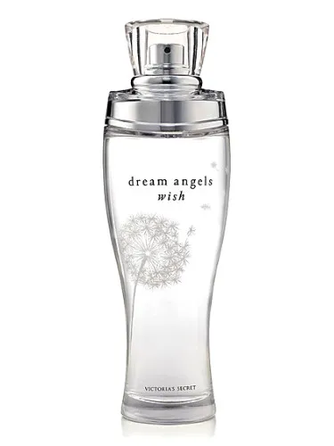 Imagen de Dream Angels Wish