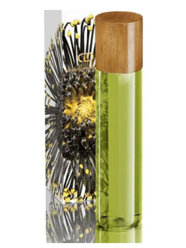 Perfume Taiga de DayNa Decker